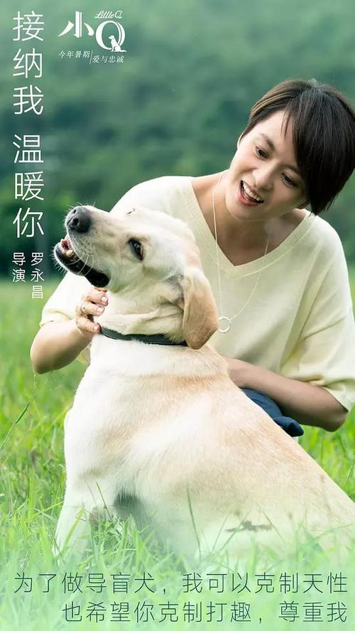 伪造韩国蔚山科技大学文凭毕业证